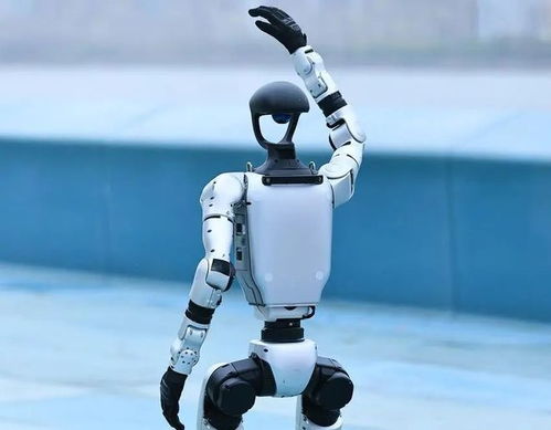 人形機(jī)器人產(chǎn)業(yè)迎來(lái)爆發(fā)期，宇樹(shù)科技啟動(dòng)IPO引領(lǐng)行業(yè)新浪潮