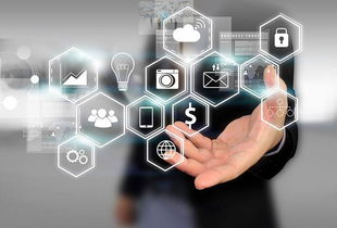 所志國(guó)軟文寫作案例 不靠廣告靠口碑，誠(chéng)信服務(wù)成就電子商務(wù)新典范