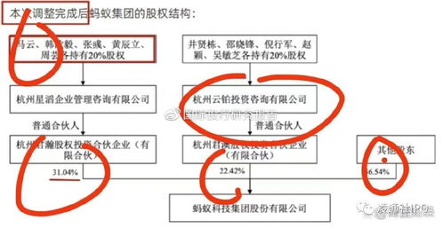 大漢軟件ipo尷尬審核 標桿產品健康碼已下架螞蟻已解綁